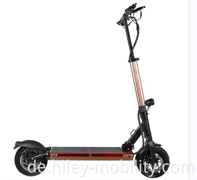 motorized scooter bike